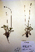  ( - CCDB-18332-D7)  @11 [ ] CreativeCommons - Attribution Non-Commercial Share-Alike (2012) CBG Photography Group Unspecified