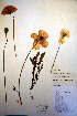  ( - CCDB-18332-C7)  @11 [ ] CreativeCommons - Attribution Non-Commercial Share-Alike (2012) CBG Photography Group Unspecified