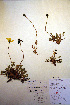  ( - CCDB-18332-A7)  @11 [ ] CreativeCommons - Attribution Non-Commercial Share-Alike (2012) CBG Photography Group Unspecified