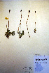  ( - CCDB-18332-H8)  @11 [ ] CreativeCommons - Attribution Non-Commercial Share-Alike (2012) CBG Photography Group Unspecified