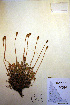  ( - CCDB-18332-G8)  @11 [ ] CreativeCommons - Attribution Non-Commercial Share-Alike (2012) CBG Photography Group Unspecified