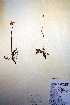  ( - CCDB-18332-C8)  @11 [ ] CreativeCommons - Attribution Non-Commercial Share-Alike (2012) CBG Photography Group Unspecified