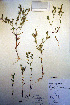  ( - CCDB-18332-B10)  @11 [ ] CreativeCommons - Attribution Non-Commercial Share-Alike (2012) CBG Photography Group Unspecified