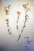  ( - CCDB-18332-H11)  @11 [ ] CreativeCommons - Attribution Non-Commercial Share-Alike (2012) CBG Photography Group Unspecified
