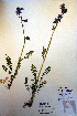  ( - CCDB-18333-G1)  @11 [ ] CreativeCommons - Attribution Non-Commercial Share-Alike (2012) CBG Photography Group Unspecified