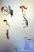  ( - CCDB-18333-D1)  @11 [ ] CreativeCommons - Attribution Non-Commercial Share-Alike (2012) CBG Photography Group Unspecified