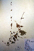  ( - CCDB-18333-G3)  @11 [ ] CreativeCommons - Attribution Non-Commercial Share-Alike (2012) CBG Photography Group Unspecified