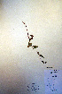  ( - CCDB-18333-F3)  @11 [ ] CreativeCommons - Attribution Non-Commercial Share-Alike (2012) CBG Photography Group Unspecified