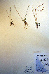  ( - CCDB-18334-A2)  @11 [ ] CreativeCommons - Attribution Non-Commercial Share-Alike (2012) CBG Photography Group Unspecified