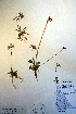  ( - CCDB-18334-D4)  @11 [ ] CreativeCommons - Attribution Non-Commercial Share-Alike (2012) CBG Photography Group Unspecified