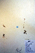  ( - CCDB-18334-C4)  @11 [ ] CreativeCommons - Attribution Non-Commercial Share-Alike (2012) CBG Photography Group Unspecified