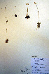  ( - CCDB-18334-B4)  @11 [ ] CreativeCommons - Attribution Non-Commercial Share-Alike (2012) CBG Photography Group Unspecified
