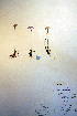  ( - CCDB-18334-A4)  @11 [ ] CreativeCommons - Attribution Non-Commercial Share-Alike (2012) CBG Photography Group Unspecified