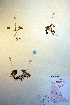  ( - CCDB-18334-D6)  @11 [ ] CreativeCommons - Attribution Non-Commercial Share-Alike (2012) CBG Photography Group Unspecified