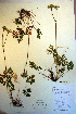  ( - CCDB-18334-B6)  @11 [ ] CreativeCommons - Attribution Non-Commercial Share-Alike (2012) CBG Photography Group Unspecified