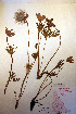  ( - CCDB-18334-C12)  @11 [ ] CreativeCommons - Attribution Non-Commercial Share-Alike (2012) CBG Photography Group Unspecified