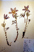  ( - CCDB-18334-B12)  @11 [ ] CreativeCommons - Attribution Non-Commercial Share-Alike (2012) CBG Photography Group Unspecified