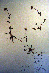  ( - CCDB-18335-H3)  @11 [ ] CreativeCommons - Attribution Non-Commercial Share-Alike (2012) CBG Photography Group Unspecified