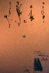  ( - CCDB-18335-H5)  @11 [ ] CreativeCommons - Attribution Non-Commercial Share-Alike (2012) CBG Photography Group Unspecified