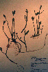  ( - CCDB-18335-E5)  @11 [ ] CreativeCommons - Attribution Non-Commercial Share-Alike (2012) CBG Photography Group Unspecified