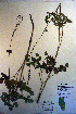  ( - CCDB-18335-D6)  @11 [ ] CreativeCommons - Attribution Non-Commercial Share-Alike (2012) CBG Photography Group Unspecified