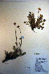  ( - CCDB-18335-G11)  @11 [ ] CreativeCommons - Attribution Non-Commercial Share-Alike (2012) CBG Photography Group Unspecified
