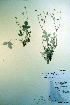  ( - CCDB-18336-F1)  @11 [ ] CreativeCommons - Attribution Non-Commercial Share-Alike (2012) CBG Photography Group Unspecified