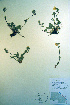  ( - CCDB-18336-D1)  @11 [ ] CreativeCommons - Attribution Non-Commercial Share-Alike (2012) CBG Photography Group Unspecified