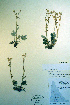  ( - CCDB-18336-B2)  @11 [ ] CreativeCommons - Attribution Non-Commercial Share-Alike (2012) CBG Photography Group Unspecified