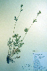  ( - CCDB-18336-D3)  @11 [ ] CreativeCommons - Attribution Non-Commercial Share-Alike (2012) CBG Photography Group Unspecified