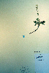  (Sibbaldia - CCDB-18336-H5)  @11 [ ] CreativeCommons - Attribution Non-Commercial Share-Alike (2012) CBG Photography Group Unspecified
