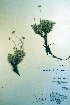  ( - CCDB-18336-A5)  @11 [ ] CreativeCommons - Attribution Non-Commercial Share-Alike (2012) CBG Photography Group Unspecified