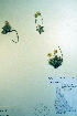  ( - CCDB-18336-H6)  @11 [ ] CreativeCommons - Attribution Non-Commercial Share-Alike (2012) CBG Photography Group Unspecified