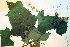  ( - CCDB-18336-D8)  @11 [ ] CreativeCommons - Attribution Non-Commercial Share-Alike (2012) CBG Photography Group Unspecified