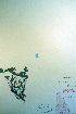  ( - CCDB-18336-E9)  @11 [ ] CreativeCommons - Attribution Non-Commercial Share-Alike (2012) CBG Photography Group Unspecified