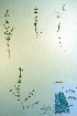  ( - CCDB-18336-D11)  @11 [ ] CreativeCommons - Attribution Non-Commercial Share-Alike (2012) CBG Photography Group Unspecified