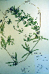  ( - CCDB-18336-H12)  @11 [ ] CreativeCommons - Attribution Non-Commercial Share-Alike (2012) CBG Photography Group Unspecified