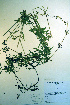  ( - CCDB-18336-G12)  @11 [ ] CreativeCommons - Attribution Non-Commercial Share-Alike (2012) CBG Photography Group Unspecified