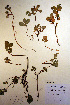  ( - CCDB-18341-B1)  @11 [ ] CreativeCommons - Attribution Non-Commercial Share-Alike (2012) CBG Photography Group Unspecified