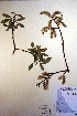  ( - CCDB-18341-A1)  @11 [ ] CreativeCommons - Attribution Non-Commercial Share-Alike (2012) CBG Photography Group Unspecified
