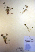  ( - CCDB-18341-A4)  @11 [ ] CreativeCommons - Attribution Non-Commercial Share-Alike (2012) CBG Photography Group Unspecified