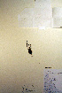  ( - CCDB-18341-G8)  @11 [ ] CreativeCommons - Attribution Non-Commercial Share-Alike (2012) CBG Photography Group Unspecified