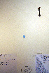  ( - CCDB-18341-F8)  @11 [ ] CreativeCommons - Attribution Non-Commercial Share-Alike (2012) CBG Photography Group Unspecified