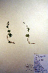  ( - CCDB-18341-G9)  @11 [ ] CreativeCommons - Attribution Non-Commercial Share-Alike (2012) CBG Photography Group Unspecified