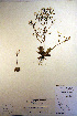  ( - CCDB-18341-E10)  @11 [ ] CreativeCommons - Attribution Non-Commercial Share-Alike (2012) CBG Photography Group Unspecified