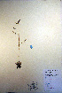  ( - CCDB-18341-D10)  @11 [ ] CreativeCommons - Attribution Non-Commercial Share-Alike (2012) CBG Photography Group Unspecified