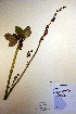  ( - CCDB-18341-F11)  @11 [ ] CreativeCommons - Attribution Non-Commercial Share-Alike (2012) CBG Photography Group Unspecified