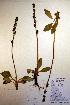  ( - CCDB-18341-E11)  @11 [ ] CreativeCommons - Attribution Non-Commercial Share-Alike (2012) CBG Photography Group Unspecified