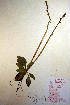  ( - CCDB-18341-D11)  @11 [ ] CreativeCommons - Attribution Non-Commercial Share-Alike (2012) CBG Photography Group Unspecified
