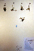  ( - CCDB-18341-D12)  @11 [ ] CreativeCommons - Attribution Non-Commercial Share-Alike (2012) CBG Photography Group Unspecified